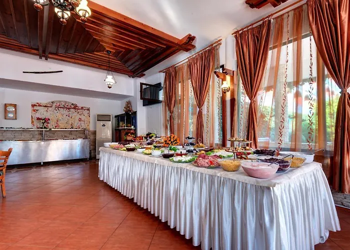 Kokiche ساني بيتش